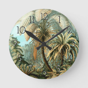Ernst Haeckels Filicinae (Baumfarne) Rund-Uhr Runde Wanduhr