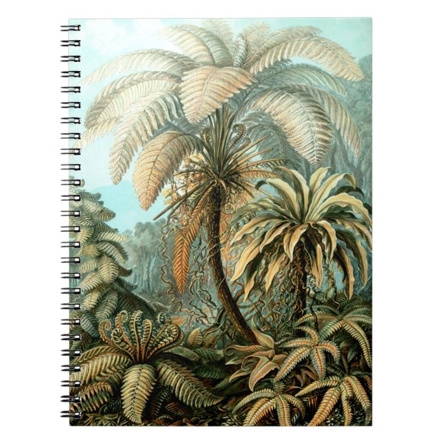 Ernst Haeckel's Filicinae (Tree Ferns) Notebook Notizblock (Vorderseite)