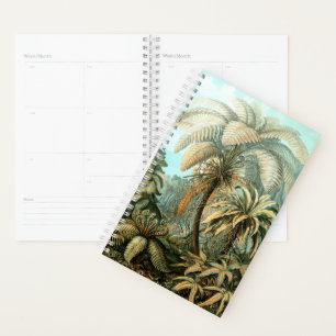 Ernst Haeckel's Filicinae (Tree Ferns) Planer