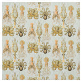 Ernst Haeckels Gamochonia Stoff