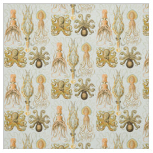 Ernst Haeckels Gamochonia Stoff