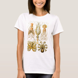 Ernst Haeckels Gamochonia T-Shirt