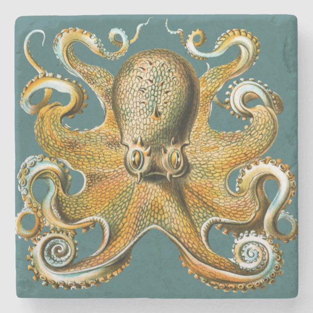 Ernst Haeckels Krake Steinuntersetzer (Vorderseite)