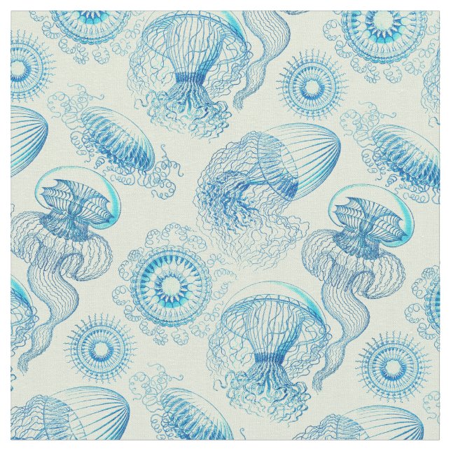 Ernst Haeckel's Leptomedusae Stoff (Nahaufnahme)