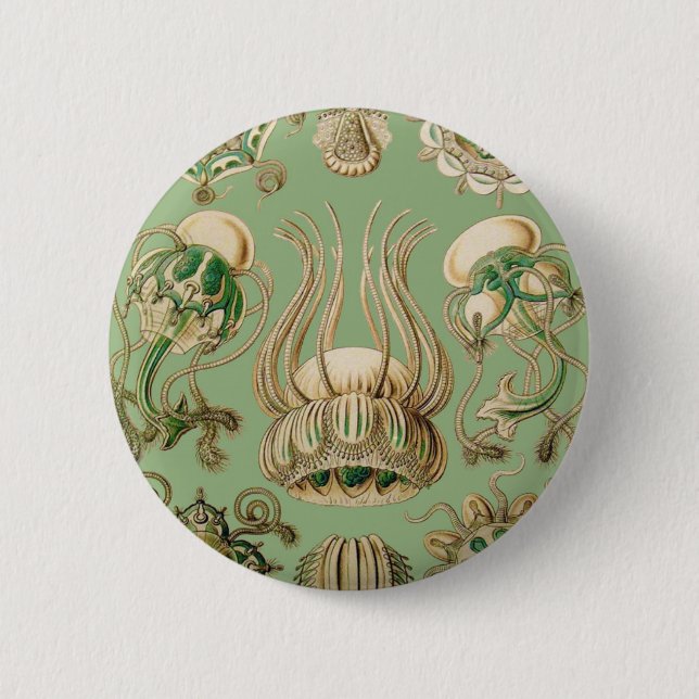 Ernst Haeckels Narcomedusae Button (Vorderseite)