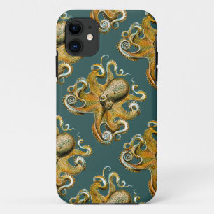 Ernst Haeckels Oktopus title_seo2
