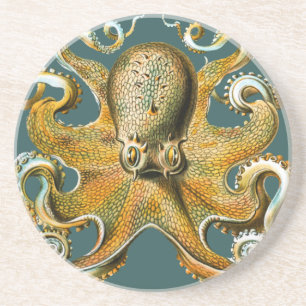 Ernst Haeckels Oktopus Getränkeuntersetzer