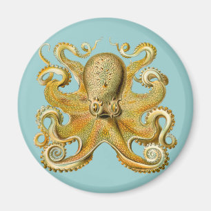 Ernst Haeckels Oktopus Magnet