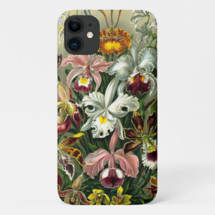 Ernst Haeckel's Orchidaceae Coque-Mate coque iphon