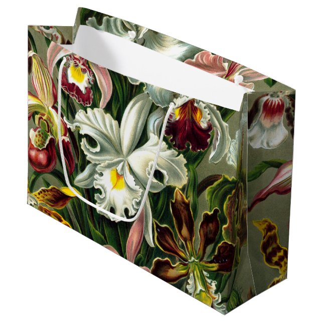 Ernst Haeckel's Orchidaceae Large Gift Bag Große Geschenktüte (Vorderseite Schrägansicht)