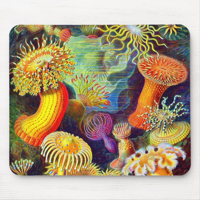 Ernst Haeckels Seeanemonen Mousepad (Vorne)