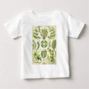 Ernst Haeckels Siphoneae Meerespflanze und Algen Baby T-shirt