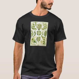 Ernst Haeckels Siphoneae Meerespflanze und Algen T-Shirt