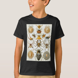 Ernst Haeckels Tier-Spinnen T-Shirt