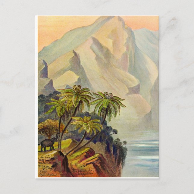 Ernst Haeckels Weltende 1882 Postkarte (Vorderseite)