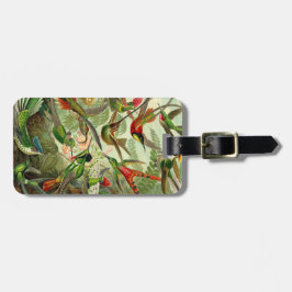 Ernst Haeckeltrochilidae-Kolibri Gepäckanhänger