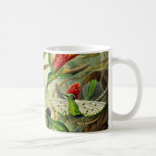Ernst Haeckeltrochilidae-Kolibri Kaffeetasse