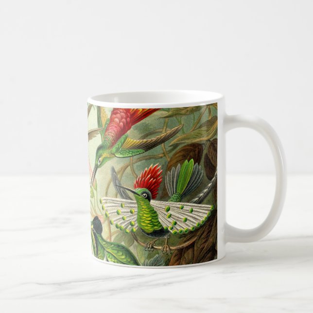 Ernst Haeckeltrochilidae-Kolibri Kaffeetasse (Rechts)