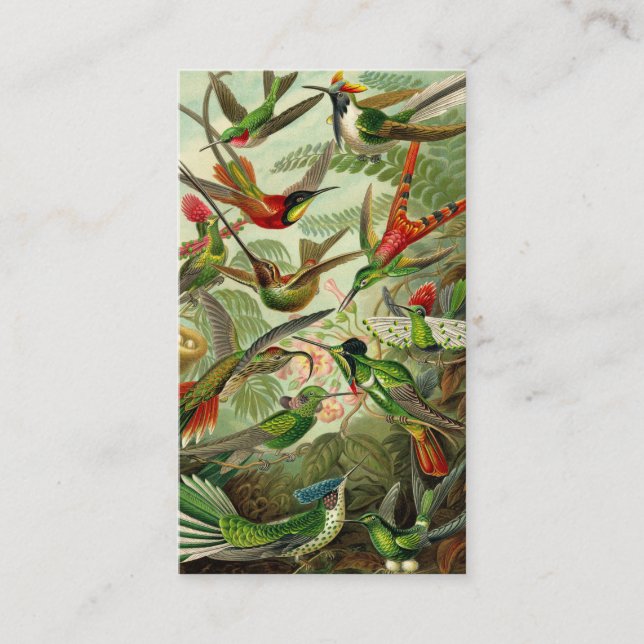 Ernst Haeckeltrochilidae-Kolibri Visitenkarte (Vorderseite)