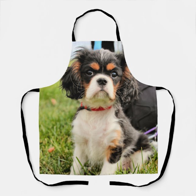 ernst schürze (Vorderseite)