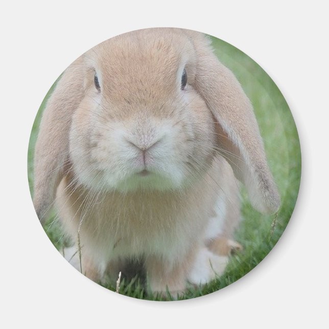 ernstes Foto Magnet (Vorne)