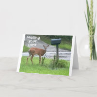 ERNSTHAFT/FUNNY DEER SAGT "GLÜCKLICH GEBURTSTAG"
