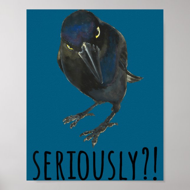 Ernsthaft Mpy Schwarz Grackel Schwarzer Vogel  Poster (Vorne)