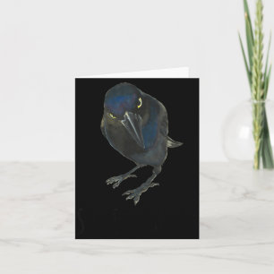 Ernsthaft Mpy Schwarze Grackel Schwarzer Vogel Karte
