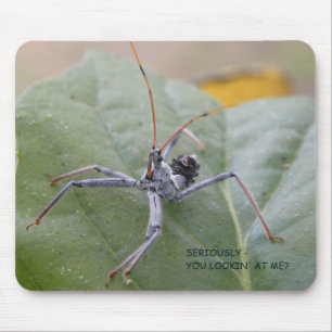 Ernsthaft Sie mich betrachtend? Mousepad