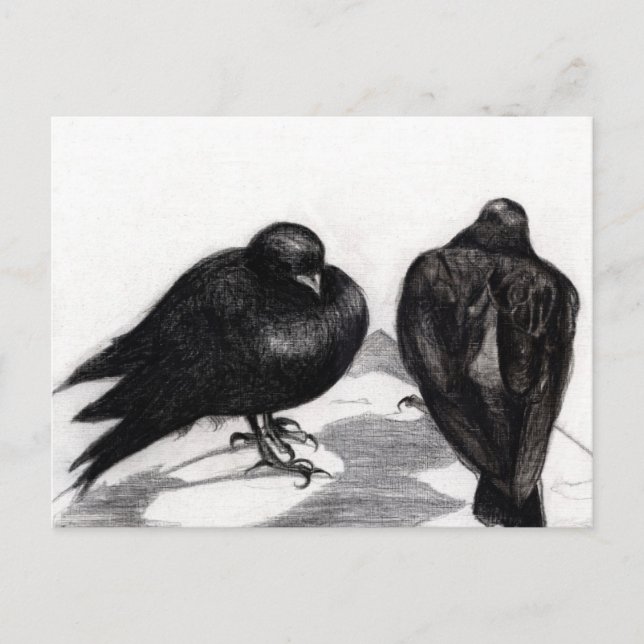 Ernsthafte Taubensituation 2012 Postkarte (Vorderseite)