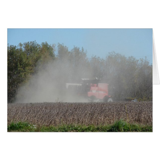 Ernte (Vorderseite (Horizontal))