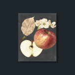 Ernte am Mitternacht II Leinwanddruck<br><div class="desc">floral</div>