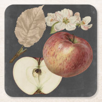 Ernte am Mitternacht II