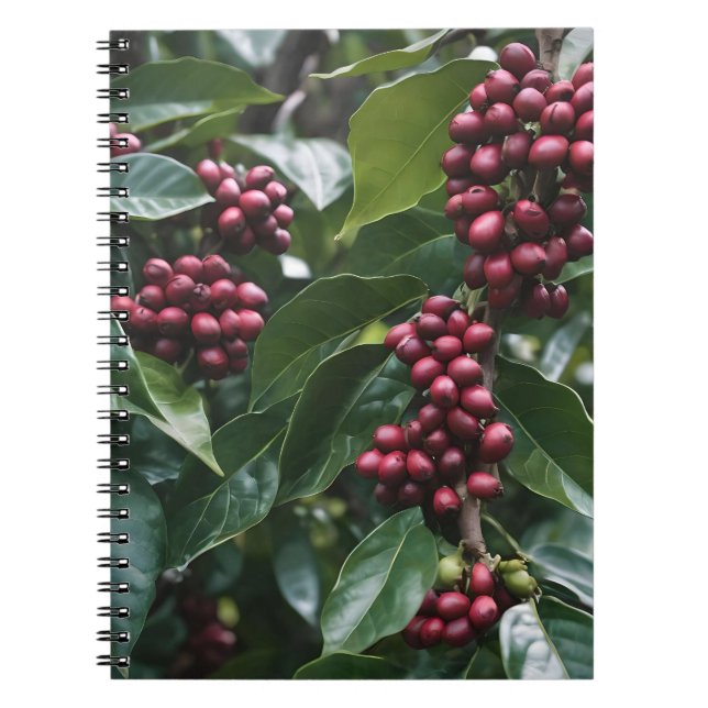 **"Ernte im Blut: Kaffeebohnen auf dem Baum"** Notizblock (Vorderseite)