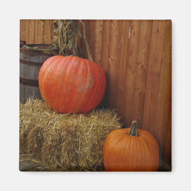 Ernte Magnet (Vorne)