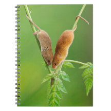 Ernte-Mäusenotizbuch