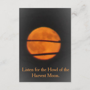 Ernte-Mond - Grasland-Meile - Einladung