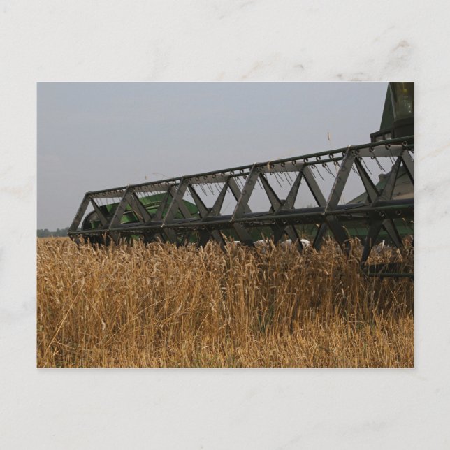 Ernte Postkarte (Vorderseite)