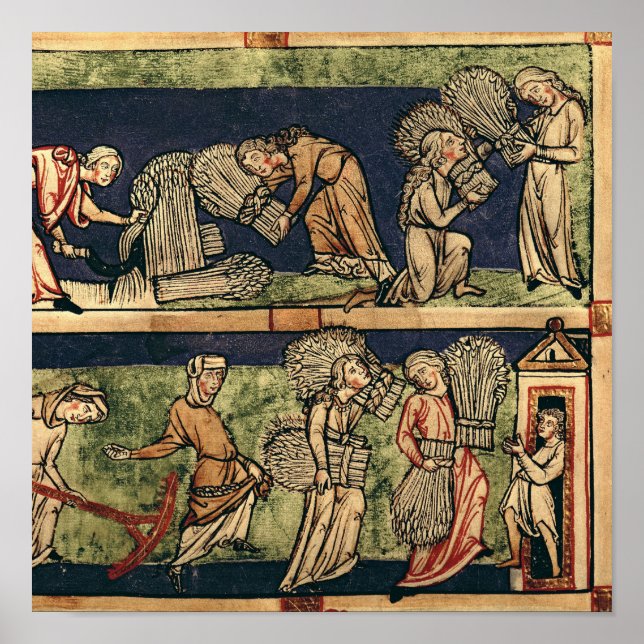 Ernte, Rheinschule Poster (Vorne)