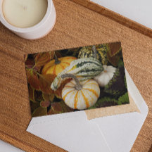 Ernte Squash Erntedank Dinner Einladung