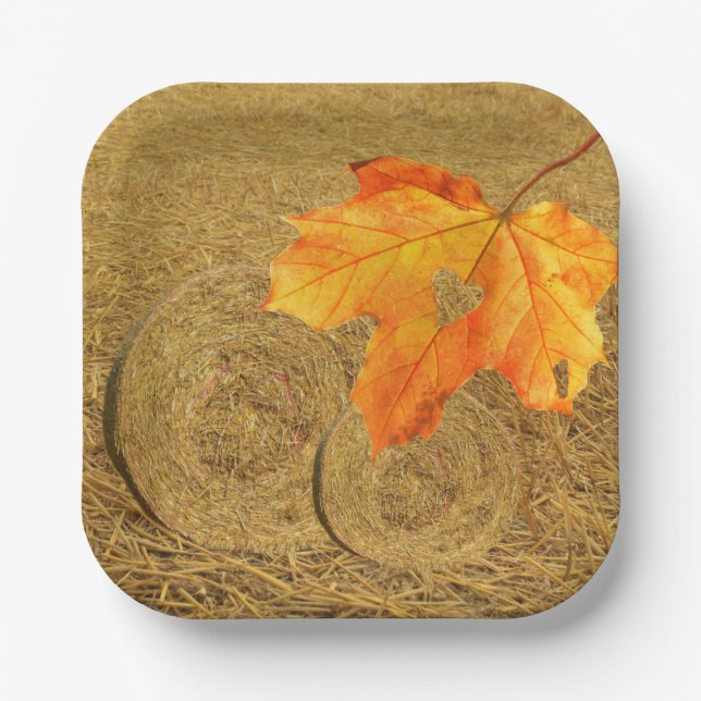 Ernte von Papierplatten aus Liebe Pappteller (Vorderseite)