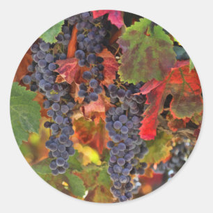 Ernte Weinberg Wein Aufkleber für das Weinland