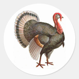 ERNTEDANK DIE TÜRKEI RUNDER AUFKLEBER