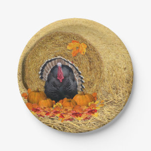 Erntedank Erntepapierplatte Pappteller