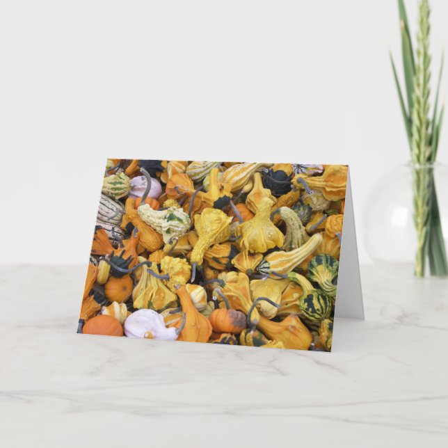Erntedank-Kürbisse Feiertagskarte (Vorderseite)