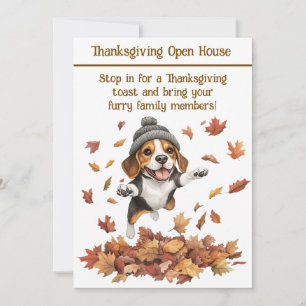 Erntedank Open House Einladung Dog Friendly