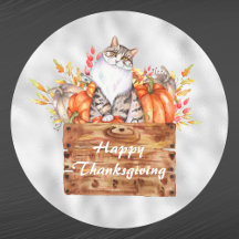 Erntedank Orange Pumpkins Cat Floral