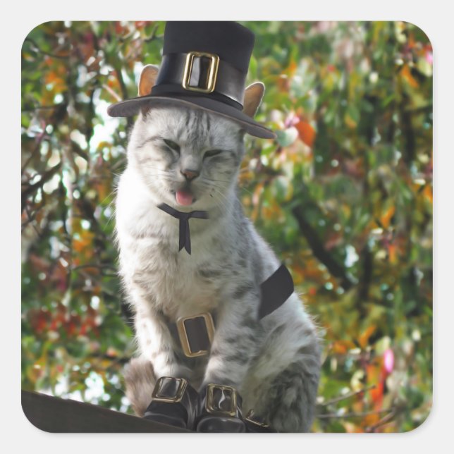 Erntedank Pilgrim Cat Quadratischer Aufkleber (Vorderseite)