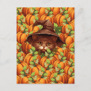 ERNTEDANK PUMPKINS NIEDLICH CAT POSTKARTE