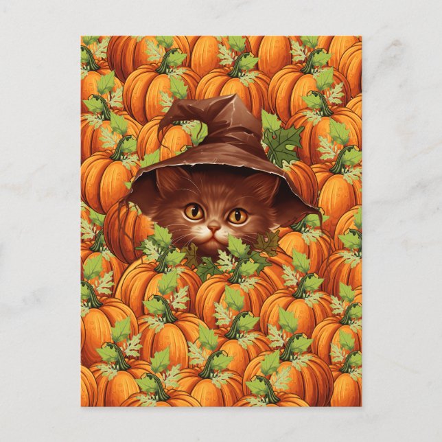 ERNTEDANK PUMPKINS NIEDLICH CAT POSTKARTE (Vorderseite)